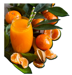 Brunch Appelsinjuice